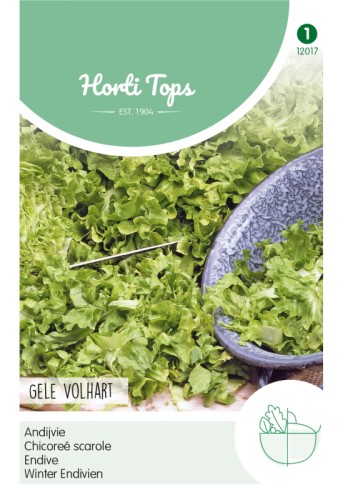 Endive Blonde a Coeur Plein Seeds